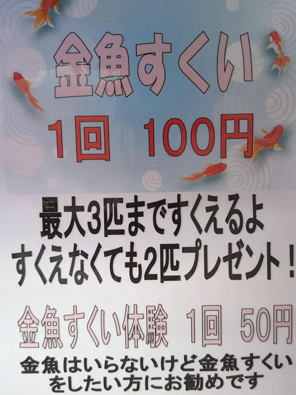 金魚すくい✨