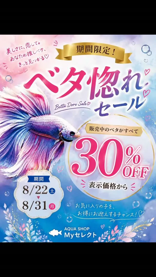ベタ惚れセール開催🎉