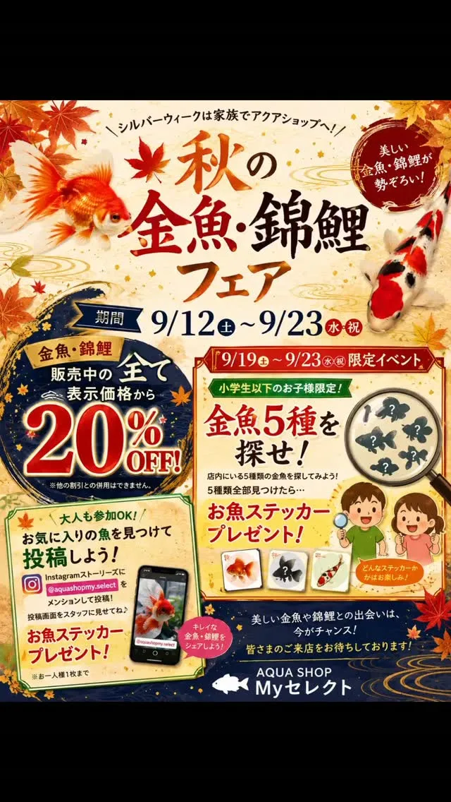 秋の金魚·錦鯉フェア🎉
